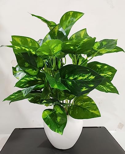 Image of Natural Looking Artificial Money Plant /Tree with Pot | Ornamental Plant for Interior Decor | Home /Shop /Office Decor (Multicolour)