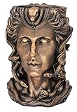 ARCPHIL Medusa Head Planter Bronze Finish Face Vase for DΓ©cor Indoor Plant Pot with Drainage Hole Flower Pot Outdoor Large