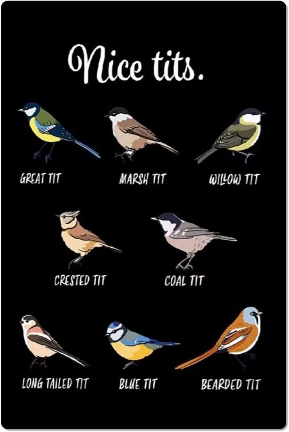 FWJZDSP Types Of Nice Tits Metal Signs Tits Knowledge Aluminium Posters Bird Encyclopedia Plaque Home Club Classroom Office Farmhouse Backyard Wall Decor 12x16 Inches