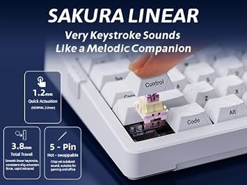 ZORNHER ZH980 Wireless Mechanical Keyboard,95% White Creamy Keyboard with Number Pad,Gaming Keyboard with Number Pad,Shine Through Spider Web PC Keycaps,Creamy Sounding Linear Switches,Full Size