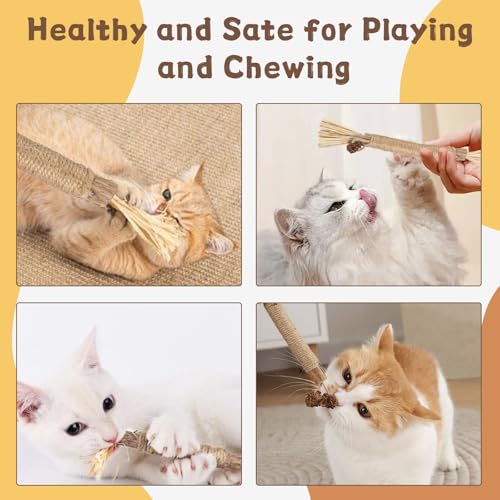 Silvervine Katzenspielzeug, natürliches Katzenminze-Kauspielzeug für Kätzchen, zur Zahnreinigung, steigert den Appe, beruhigt Angst und Stress, 3 Stück