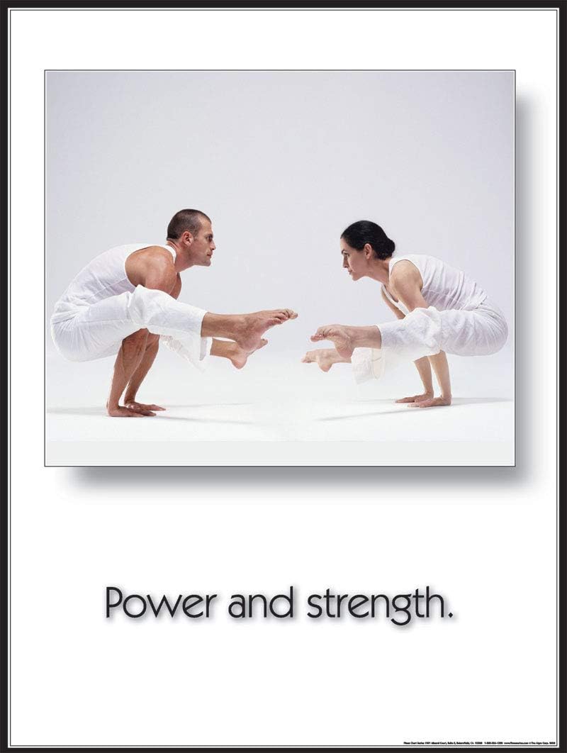 Fitnus Chart Series Power & Strength 18" X 24" Laminated Yoga Inspirational Poster