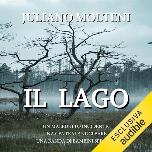 Il Lago -- Juliano Molteni episode artwork