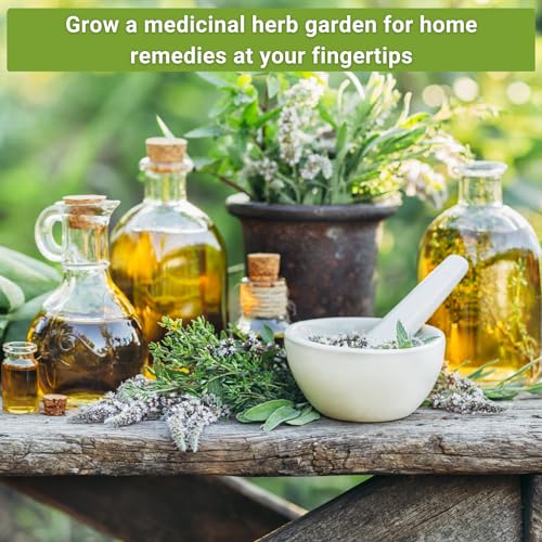 Sow Right Seeds - Large Medicinal Herb Seed Collection for Planting - Chamomile, Echinacea, Lavender, Mint, Lovage, Lemon Balm, & More - Non-GMO Heirloom for Home Remedies, Teas, Tinctures - Image 4