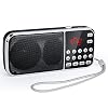 PRUNUS J-189 AM/FM/UKW Kleines Radio mit Bluetooth, Kofferradio mit Heavy Bass Lautsprechern, TF/USB/AUX-Player, Digital…
