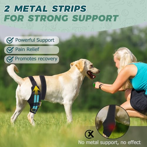 Image of Dog Knee Brace for Back Leg Fit Large to Small Dogs Strong Support Adjustable Dog Leg Braces with 2 Metal Strips for Hip Dysplasia, ACL, CCL, Ligament Injuries & Osteoarthritis (Right Leg, 2XL)