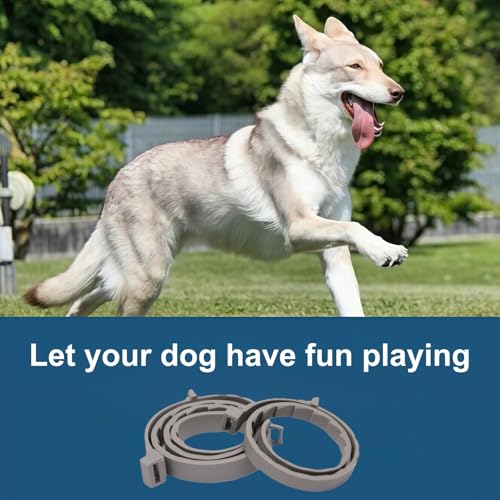 3PCS Dog Collar,Calming Collar for Dogs,Dog Collars Set,Waterproof Adjustable for Puppy,24 Month Protection,Natural Essential Oils,Grey - Image 8
