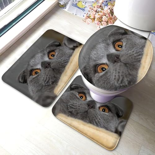 gC}bg Zbg 3_  ÂL L }bg gCWJo[ U^ O^ gC}bg Zbg ~ z  h ֊ӂJo[ ƒp zep