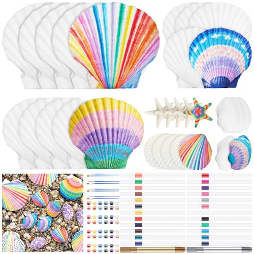 JolliLudo 60 Pcs 30 Set Natural Scallop Shells Craft Kit 4 Style 2-4 White Seashells Bulk with Brush Marker Pen for Home Decor Ornaments DIY Arts Crafts Seashells Ocean Summer Beach Home Decor