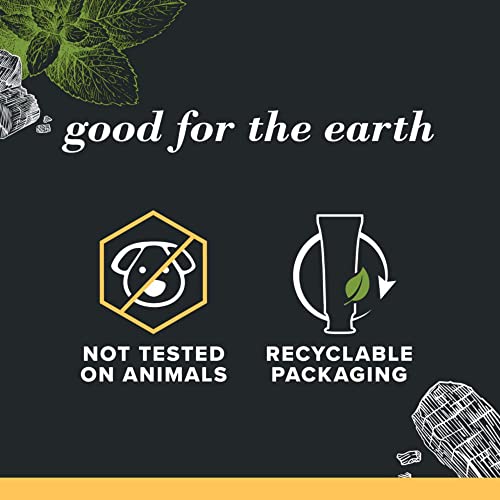 Burt’s Bees Toothpaste, Natural Flavor, Charcoal Fluoride-Free Toothpaste, Zen Peppermint, 4.7 Oz, Pack Of 3 #TOP3