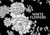 Kew - Fragrance: From Plant to Perfume, the Botanical Origins of Scent