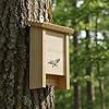 Relaxdays Nichoir à Chauves-Souris en Bois Non traité, Lot de 2, 25 x 18 x 6 cm, Naturel