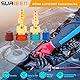 R1234YF Schnellkupplungs-Set, R1234YF auf R134A Umrüstsatz, Hoch/Niedrig Seite Schnellkupplung Adapter, AC-Schlauchverschraubungen Anschlüsse für R1234YF AC Kühlschrank Ameisen-Aufladung 2 Stück