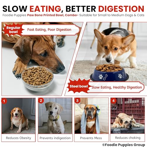 Image of Foodie Puppies Stainless Steel Dog Bowl Combo - (Medium, 700ml) Food and Water Feeding Gift Bowl | Suitable for Dogs, Cats and Other Pets I Paw Bone Print, Anti-Skid Rubber Base (Red + Blue)