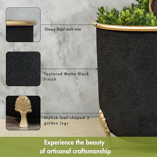 Image of BEHOMA Black Metal Leaf Leg Planter 6 inch Tabletop Planter | Pot for Indoor Outdoor Balcony Living Room | Table Plant Pot with Leaf Leg for Gifting