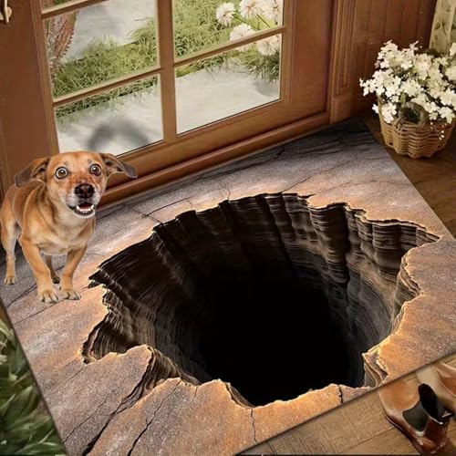 Illusion Rug Hole,Dog Gets Scared of 3D Hole Carpet,Non-Slip 3D