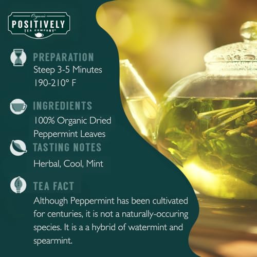 Image of Organic Positively Tea Company, Peppermint Leaf Herbal Tea Bags, 100 Count, Eco-Friendly Tea Bags, Non-GMO