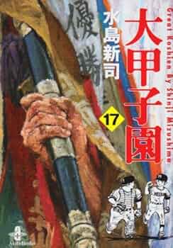 大甲子園 文庫版 全17巻 水島新司 Amazon.co.jp: 大甲子園 文庫全17巻 完結セット (秋田文庫