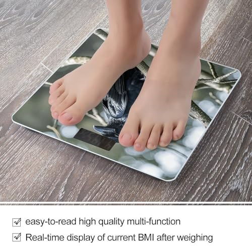 Báscula digital de baño con pantalla LCD y vidrio templado miniatura 5