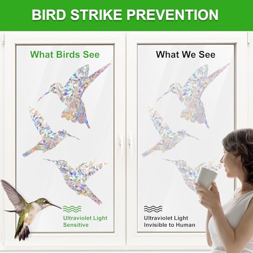 Image of DELLAN 24 Pcs Window Clings Decals to Prevent Birds Strikes, Birds | Anti-Collision Rainbow Window Clings, Bird Deflectors Stickers for Glass Windows