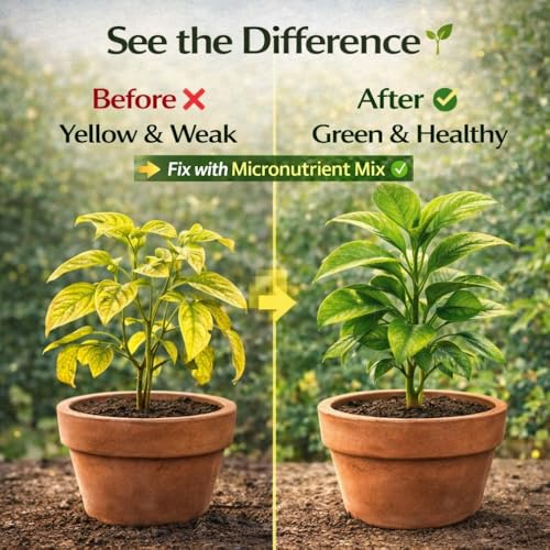 Image of Indian Gardens - Micro Nutrient Fertilizer | Soil Applicant | Premium Essential Plant Food | Home Gardens for All Plants - 200 Grams