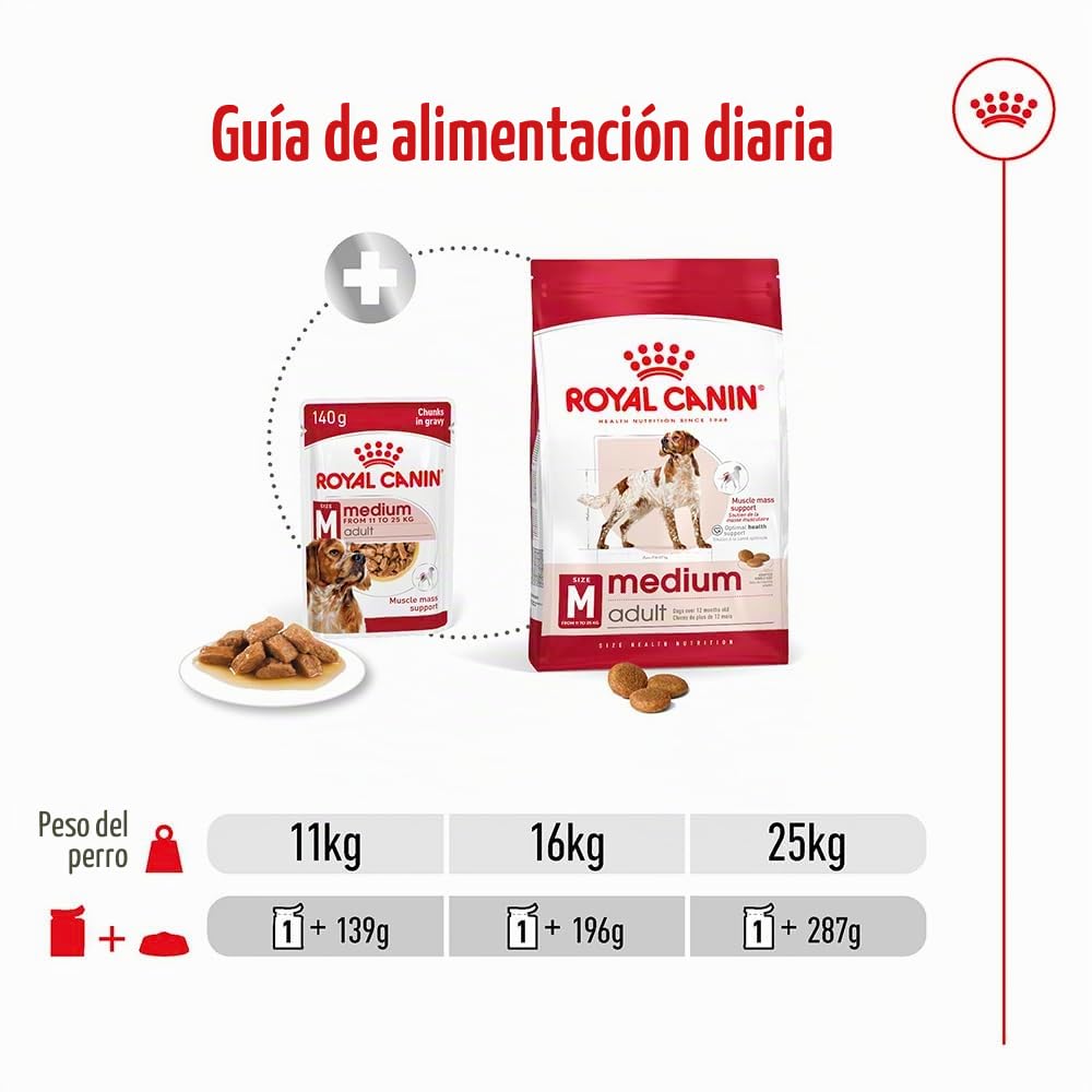 Royal Canin Medium Adult | 10 x 140 g | Alimento completo para perros adultos medianos de 11 a 25 kg | De 12 meses a 10 años