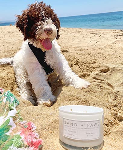 Sand + Fog Sand + Paws Scented Candle - Island Orchid - Additional Scents And Sizes –Luxurious Air Freshening Jar Candles Neutralize Pet Odors And Enhance Home Décor thumb #5