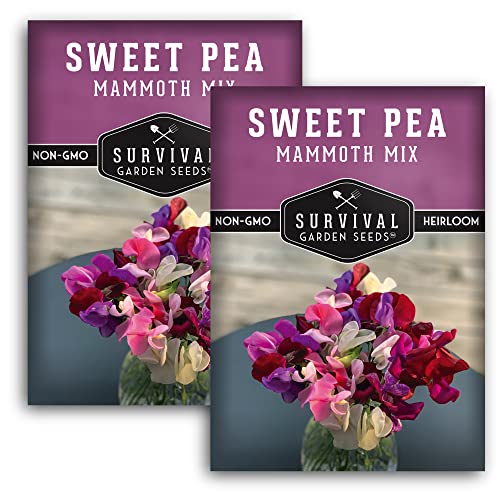 Survival Garden Seeds - Mammoth Sweet Pea Seed For Planting - 2 Packs With Instructions To Plant And Grow Fragrant Blossoms In Your Home Flower And Vegetable Garden - Non-Gmo Heirloom Variety #TOP11