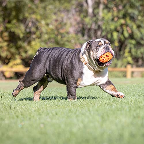 Chuckit! Cu32217 Breathe Right Football, Kleiner Rugbyball Für Hund