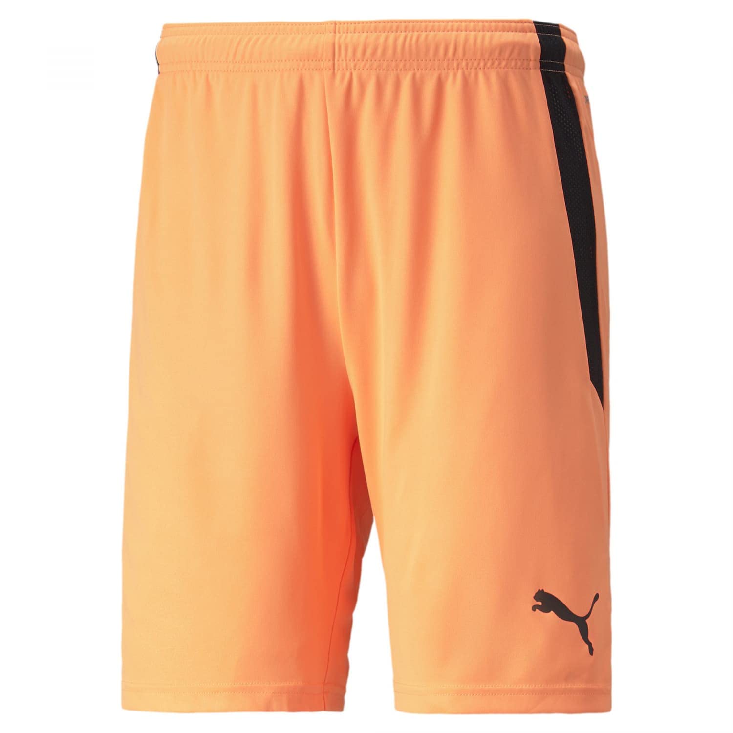 PUMA Teamliga Shorts - Szorty Dla mężczyzn