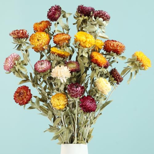Ramo de Flores Secas Margarita Natural 20 Piezas miniatura 1