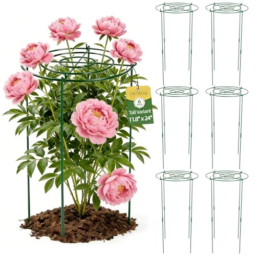 DSTANA 6 Pack Peony Cages and Supports 12 x 24 Tall Peonies Support Cage