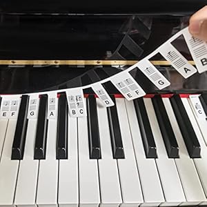 Piano Keyboard Note Labels, Full-Size Piano Keyboard Stickers 88 Keys Made Of Silicone No Need To Stick Reusable & Removable Piano Key Stickers with Storage Box, Black