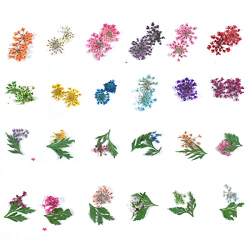 Dokpav 2 Schachteln Getrocknete Blumen für Nailart, 24PCS Getrocknete Blumen Grüne Blätter Set Nagelapplikation 3D Nail… – Bild 4