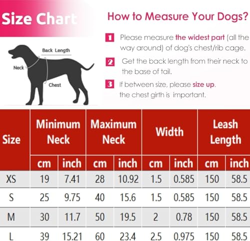 Ensemble collier et laisse pour chien S gris réglable - 4