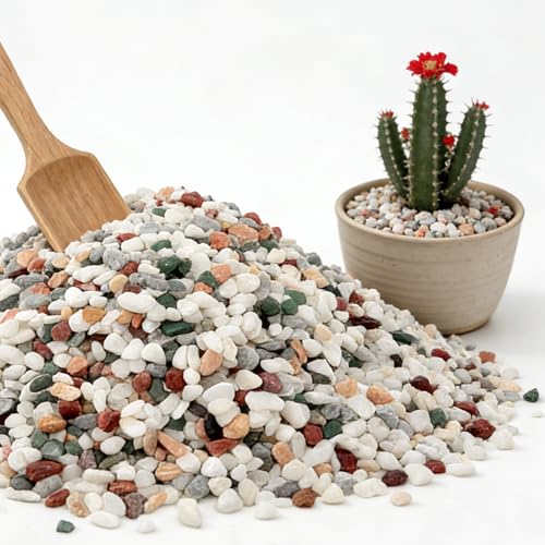 1/8 Inch Natural Aquarium Gravel Small Pebbles for Fish Tank Indoor Plants & Succulents Mixed Color Mini River Rocks for Drainage Terrarium Top Dressing & Vase Filler 3 lb