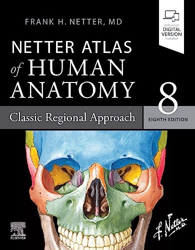 洋書 ・希少 CIBA医学イラスト集第1巻 Ⅰ フランクH.ネッター／英語版 The Ciba Collection of Medical Illustrations, Vol. 1: Nervous