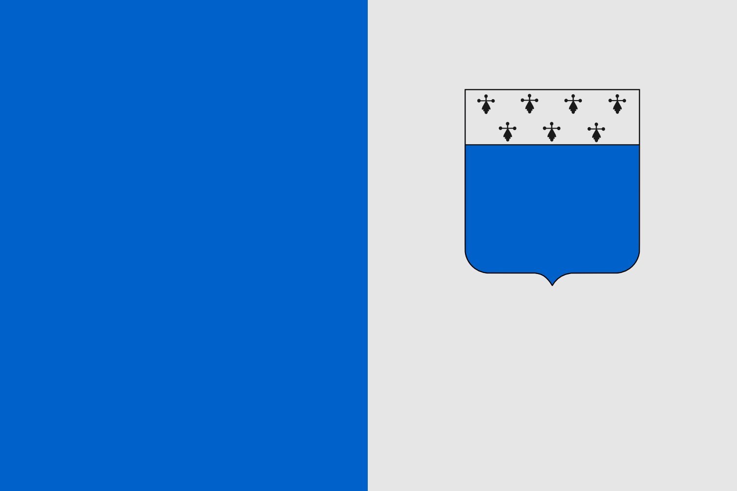 Drapeau large Lichtervelde vlag haute résistance aux intempéries