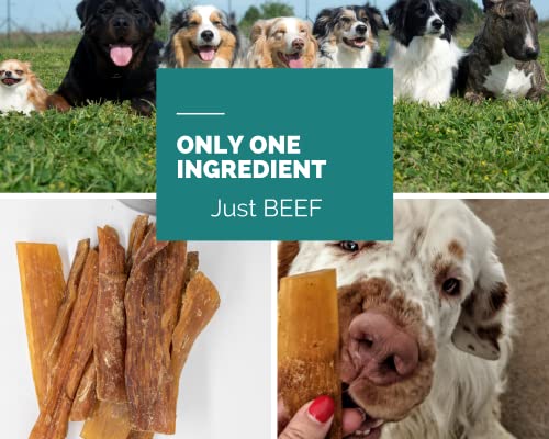 PawGang, Beef Tendon Paddywack 500g, 100% Natural Treats for Dogs Young Adult Small and Large Dog - Image 3