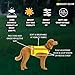 Reflective Dog Vest. High Visibility Yellow Safety Vest for Outdoors. Safeguard Your Dog with Easy to wear Adjustable and Breathable Reflective Gear (Small)