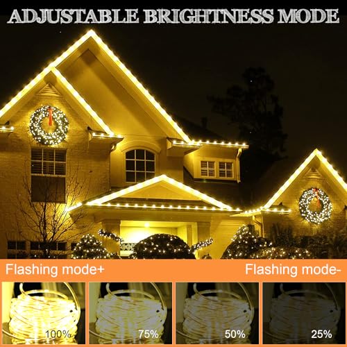 Liyade LED Lichterschlauch Aussen, 20m 200 LEDs Lichtschlauch Außen Innen, 8 Modi & Timer, IP65 Wasserfest Leuchtschlauch Led Schlauch Helligkeit dimmbar für Garten Fest Party Hochzeit (Warmweiß)