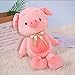 WJTMY Kuscheltier Schwein Plüsch Kuscheltier Superweiche Kissen umarmt Spielzeug Geschenke (Color : B, Size : 50cm)