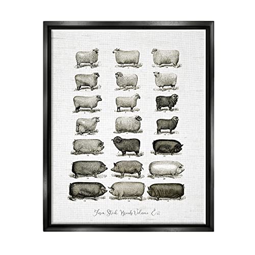 Image of Farm Animal Breeds Diagram Chart, 24 x 30 Inch Canvas in Floater Frame