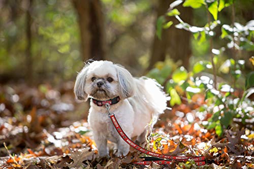 Pets First NHL Minnesota Wild Leash for Dogs & Cats, Walk Cute & Stylish! The Ultimate Hockey Fan Leash!, Large (6 ft Long x 1 in Width) (WLD-3031-LG) - Thumbnail 4