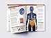 Human Body: Stomach And Digestive System (Knowledge Encyclopedia For Children)