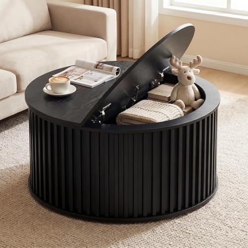 Clyphix Round Coffee Table with Storage, 35.43