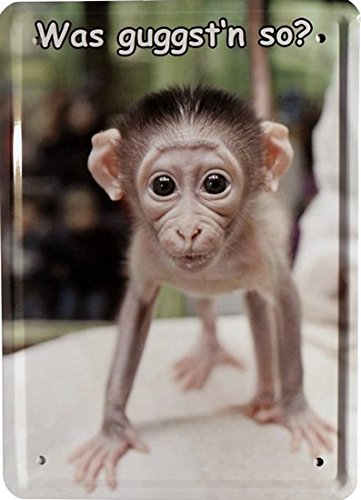 15 x 21 cm Tin Sign with Funny Little Monkey "guggst'n So What" MJ 154, white us