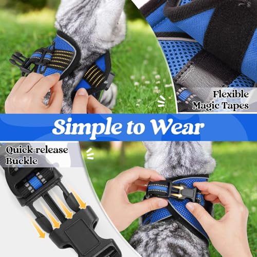 Image of rabbitgoo Cat Harness and Leash Set, Step-in Soft Vest, Blue | Escape Proof, Lightweight, Easy-on & Adjustable, Hook & Loop with Buckle, Reflective, for Kittens & Small Cats Walks, S