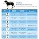 AIITLE No Pull Hundegeschirr, Step in einstellbares Hundegeschirr mit gepolsterter Weste, Hundeleine mit weichem gepolstertem Griff, leicht anzulegen für kleine und mittlere Hunde Reines Blau S