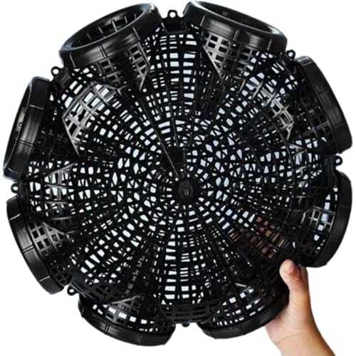 ITMEATJjEiMEiM8EiMčEqAWނjߊloXPbgߊlĉatppfޑa10 cm (3Zbg) [sAi]